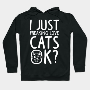 Love Cats Funny Cat Lover Gift Hoodie